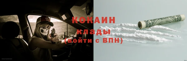 сатива Нязепетровск