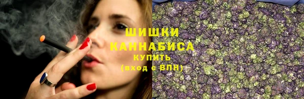 сатива Нязепетровск
