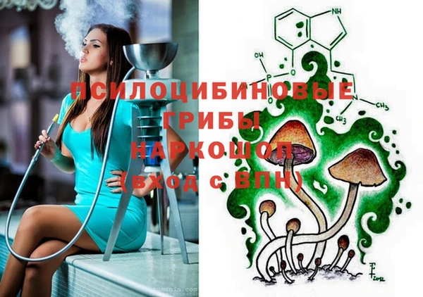ALPHA PVP Нягань